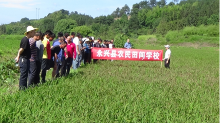 把農(nóng)技推廣服務(wù)辦在田間地頭——記永興縣農(nóng)業(yè)農(nóng)村局開展“學(xué)黨史為群眾辦實(shí)事”農(nóng)業(yè)技術(shù)推廣活動(dòng)